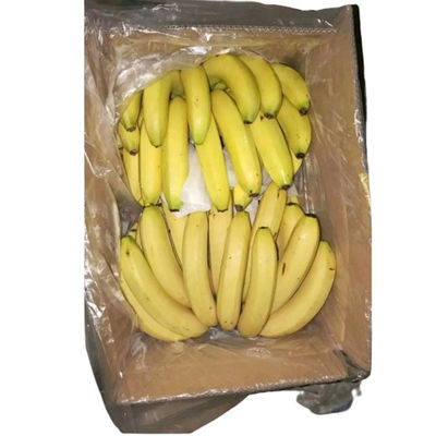 Plastik Muz Karton Liner Torbalar PE Perforasyonlu Meyve Torbası