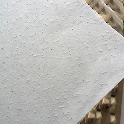 Çiçek Tohumları İçeriye Eklenmiş Çiçek Tohumu Davetleri
